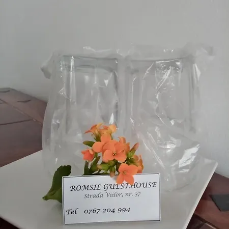 게스트하우스 Romsil 3*